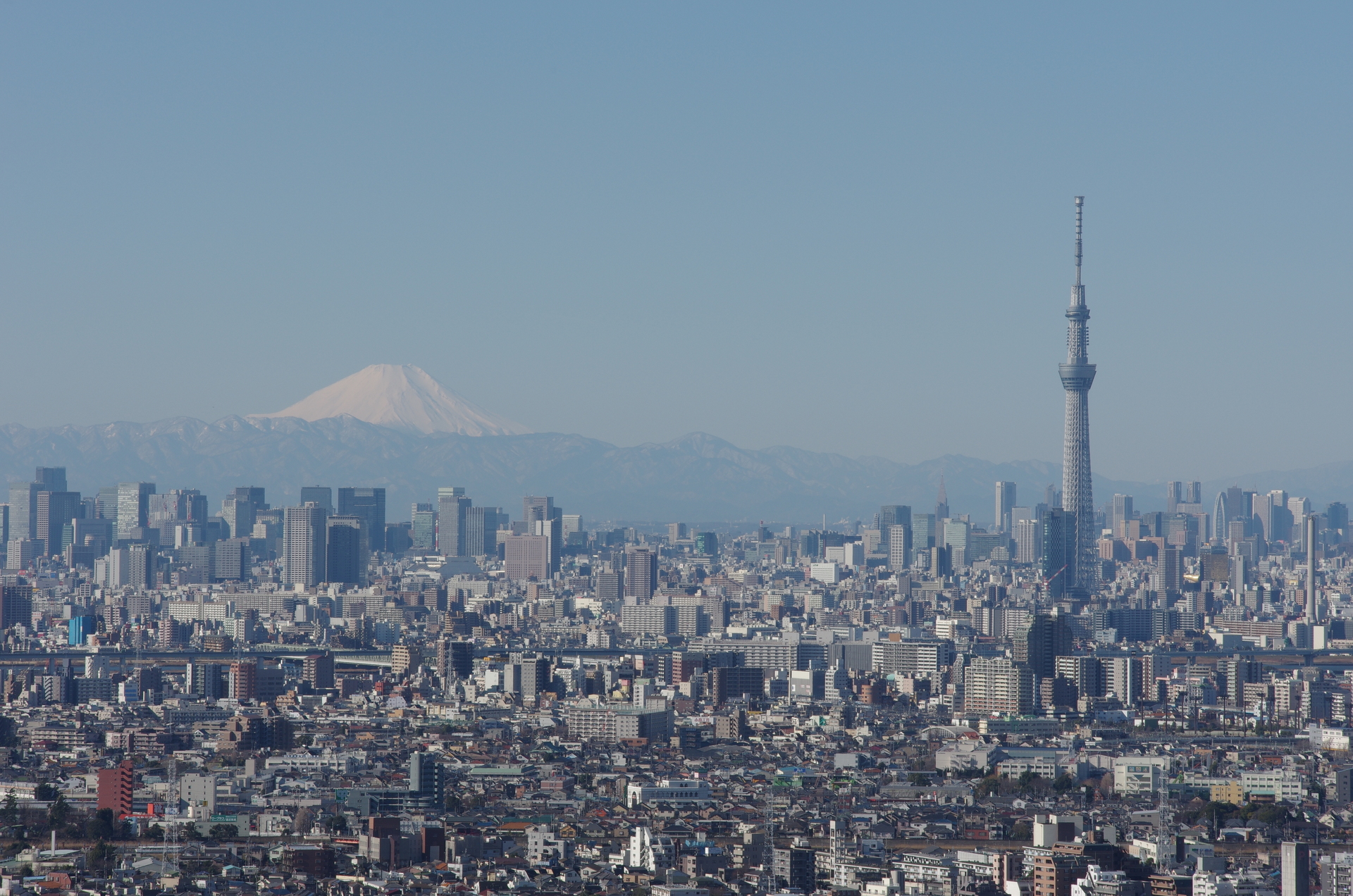 富士山とスカイツリー © 市川市 クリエイティブ・コモンズ・ライセンス（表示4.0 国際）https://creativecommons.org/licenses/by/4.0/